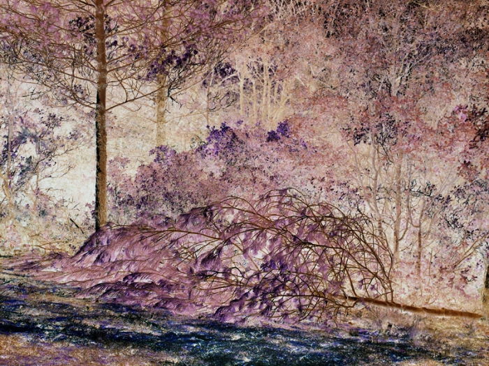 https://www.maudegruebel.com/files/gimgs/th-19_2022_02_20_SIM_02_044_F_22_30_V1_Nega_A.jpg